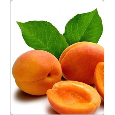 Саженцы абрикоса Солнечный > фото и цена саженца
