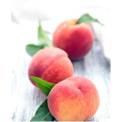 Саженцы персика Харнас > цена и описание саженца